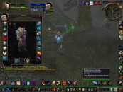 wowscrnshot_112510_111116.jpg